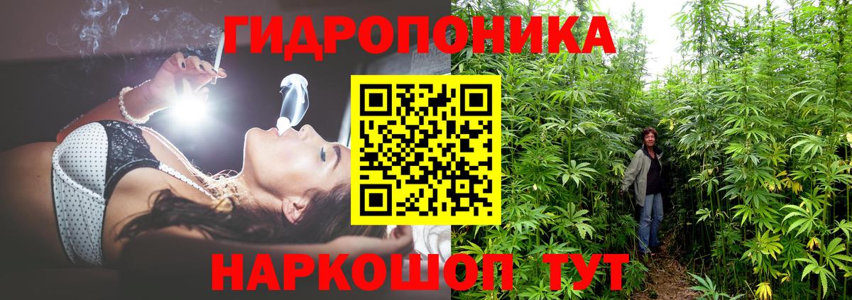 Каннабис план Кинель
